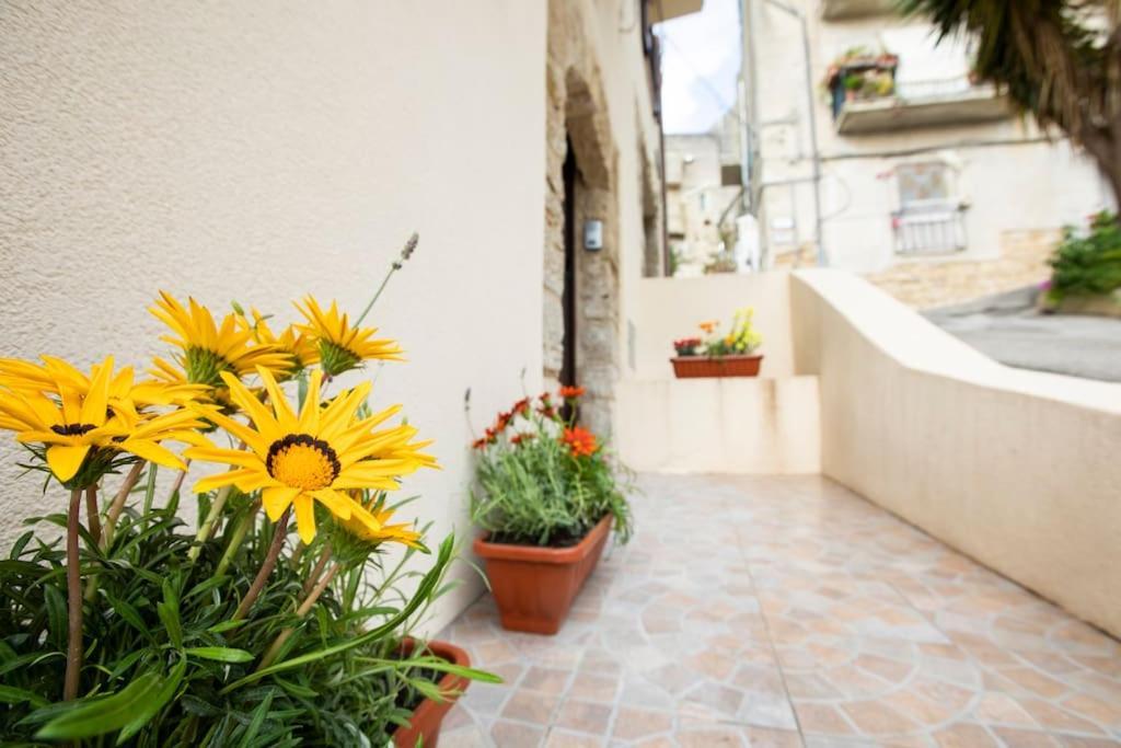 La Domus Di Segesta "Smart Solution" Apartment Calatafimi Exterior foto